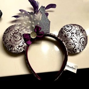 Mickey Ears from park